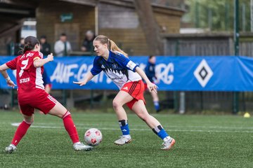 Bild 318 - F Hamburger SV 2 - SpVg Aurich : Ergebnis: 1:1